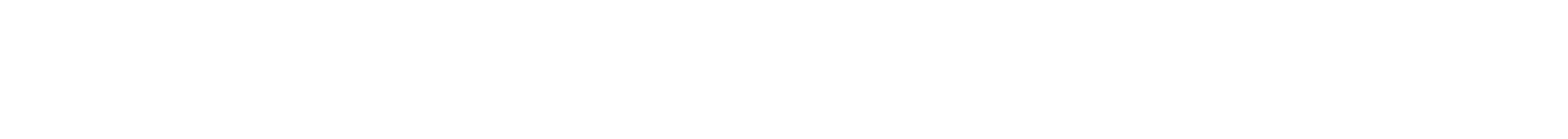 Säkerhetsföretagen